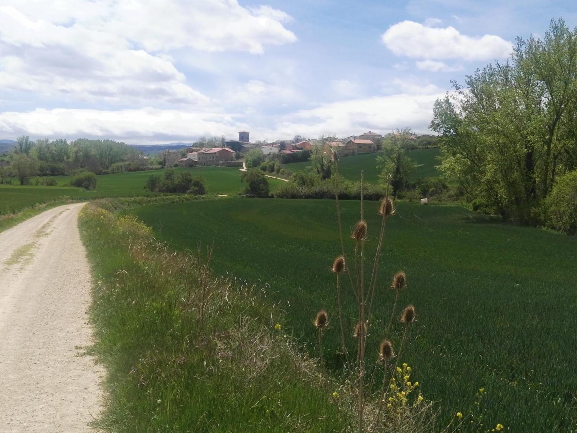 El Rincon 53 Villa Quintanilla del Monte de Rioja Bagian luar foto